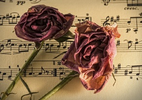 Plus belles chansons